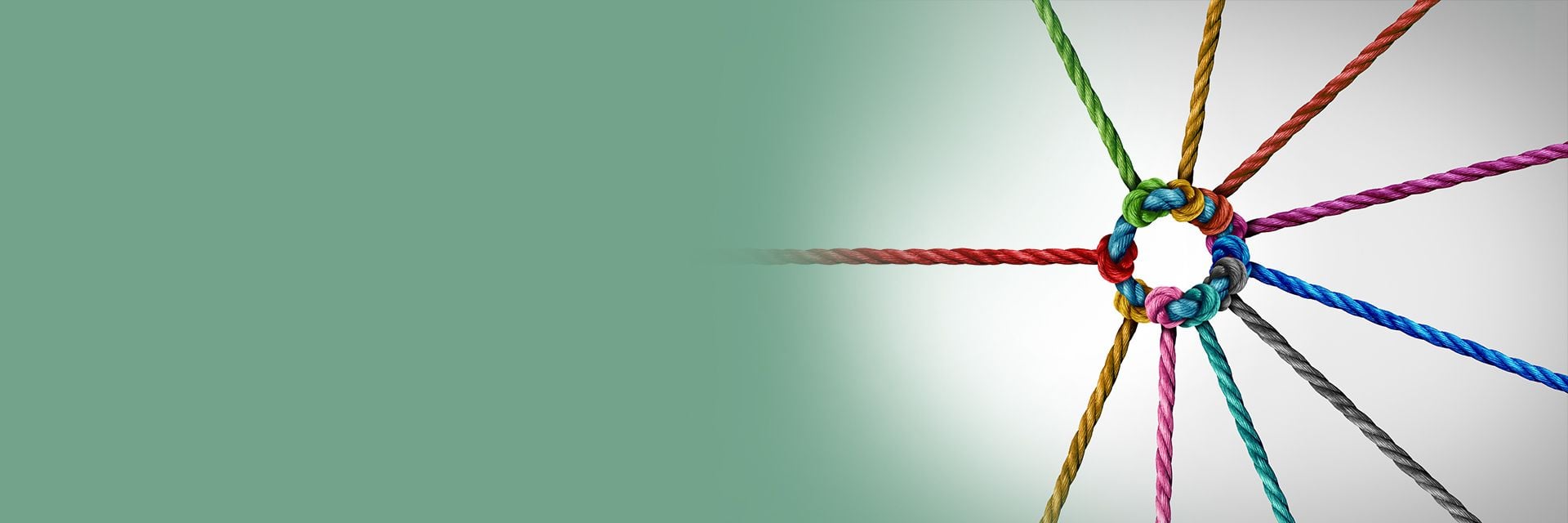 local business networking